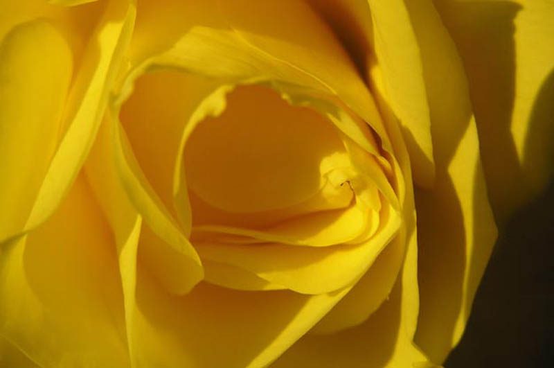 miroslavVajdic (108)